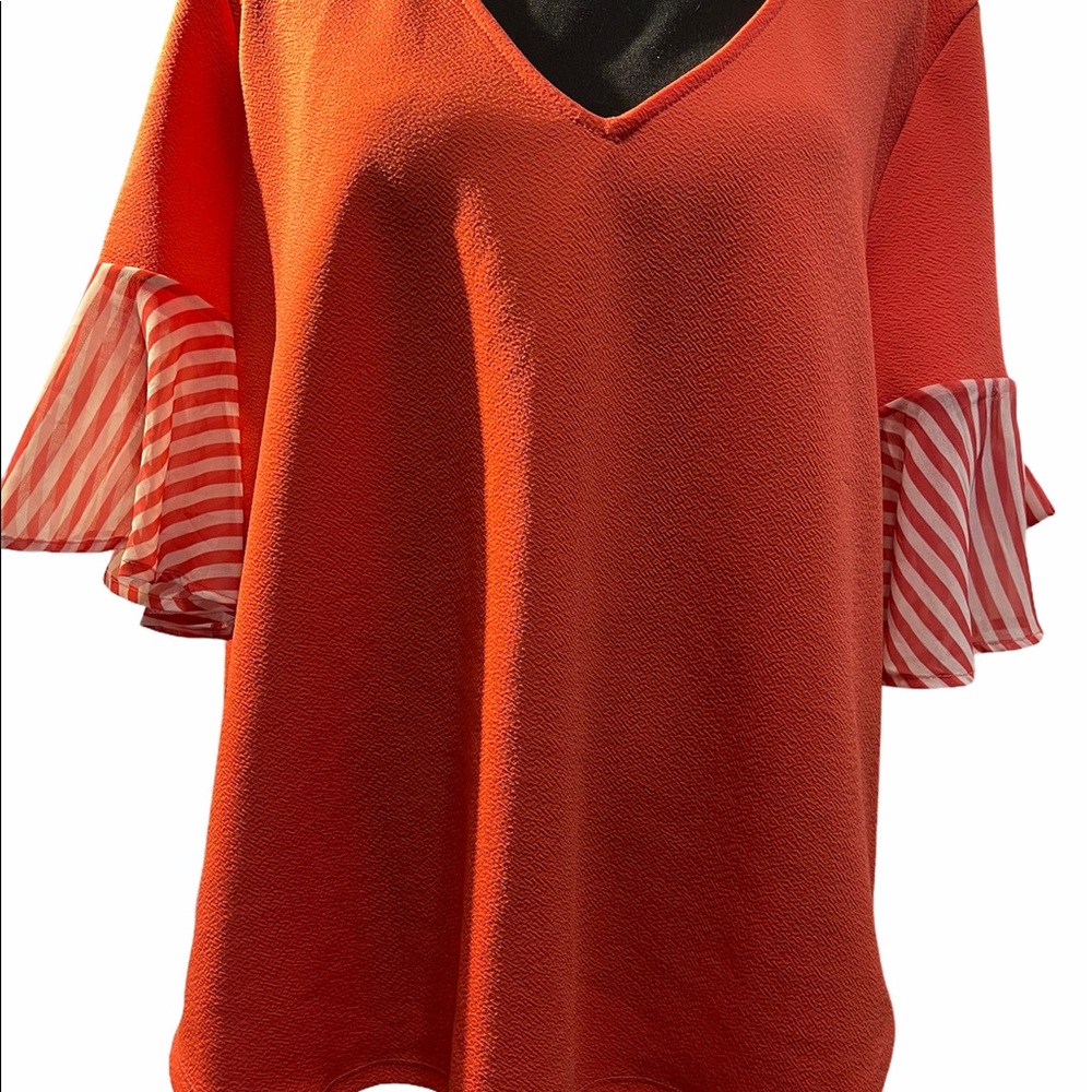 7th Avenue Design Studio Blouse